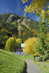 Herbstlich gefärbte Bäume bei Oberstdorf im Allgäu