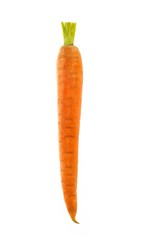 Carrot