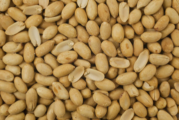 peanut-fıstık