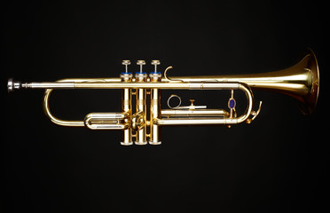 Obraz na płótnie Canvas brass trumpet over black background