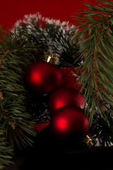 Christmas decoration and real christmas tree