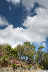 Obraz premium Colours of Saint Thomas