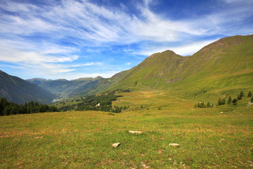 Fototapeta na wymiar Fields and meadows in Alps, Italy.