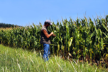 Abundant Harvest