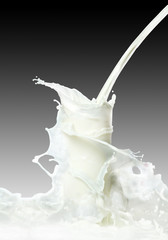 milk splash