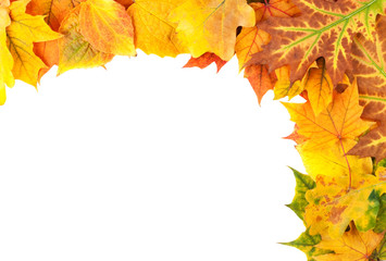 Naklejka na ściany i meble Yellow autumn leaves isolated on white background