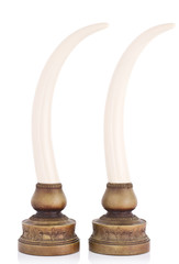 A couple of decorative ivory tusks isolated on white.