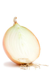 Onion