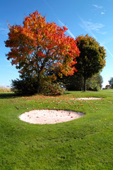 Golf im Herbst
