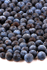 Blueberries