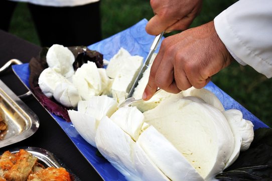 mozzarella di bufala