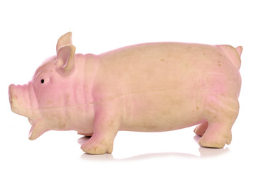 Pig dog toy