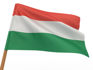 Obraz premium Flag of hungary
