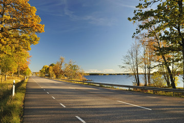 Scenic autumn road