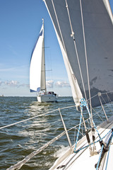 Sail yacht sailing on the IJsselmeer in the Netherlands