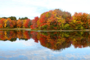 Fall in New England III