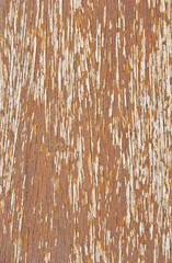 Fototapeta premium Hardwood background