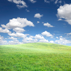 Fototapeta na wymiar Green grass and blue sky with clouds