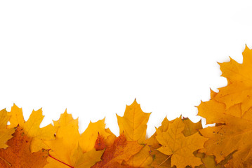 Frame of autumn leaves on a white background
