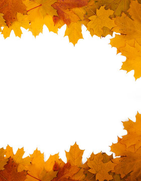 Frame of autumn leaves on a white background