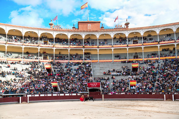 Fototapeta premium Flagrant colours of the bullring at the Ventas