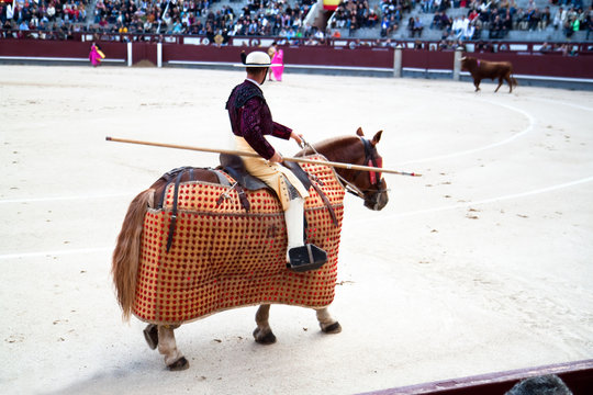 Bullfighter on horseback ready for bullfight
