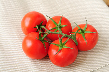 Fresh ripe tomatoes