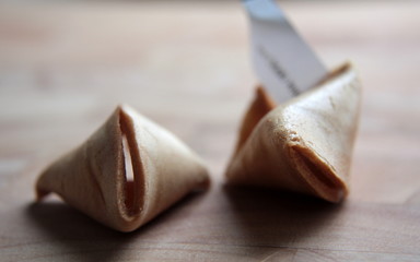fortune cookie