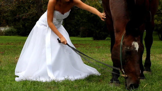 Beautiful bride and a horse walking in the park