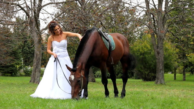 Beautiful bride and a horse walking in the park