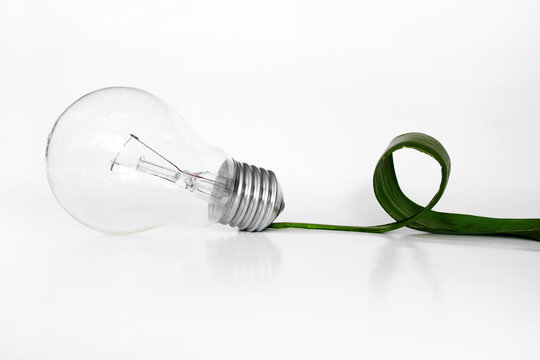 Ligh bulb and  green leaf