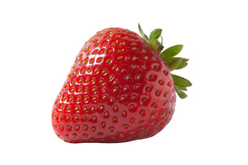 Erdbeere, Strawberry, Fragaria