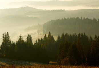 Beautiful sunrise in the mountains