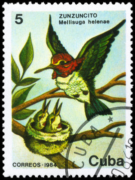 CUBA - CIRCA 1984 Hummingbird