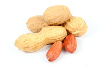 Peanuts isolated on white background