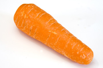 Organic Carrot