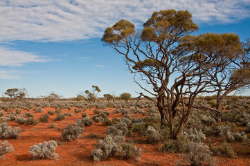 het Australische landschap, Zuid-Australië