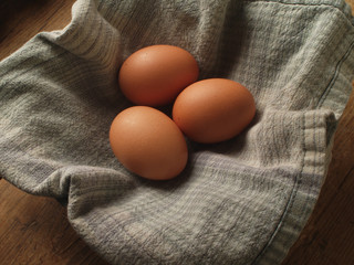 Organic Eggs