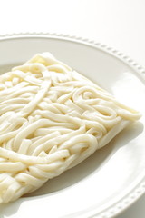 Japan Udon noodles