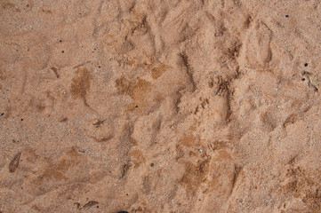 Sand Texture