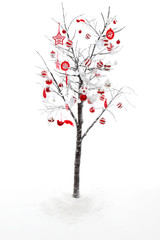 Fototapeta premium Decorated Christmas Tree