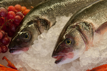 fresh fishes on ice
