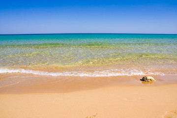 beautiful exotic beach in Mediterranean