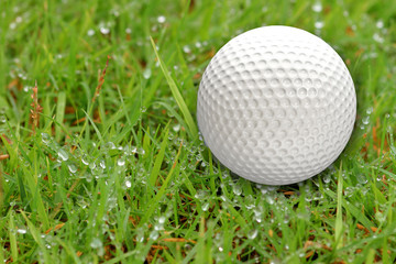 Golf balls on the grass background .