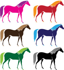 horses vector