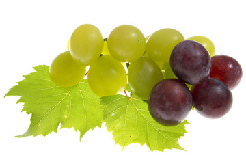 grapes isolated
