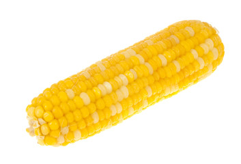 sweet corn isolated