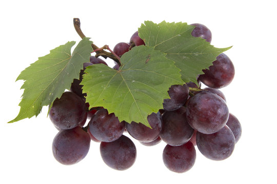 grape  isolated