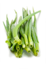 Bunch of green onion isolated on the white background