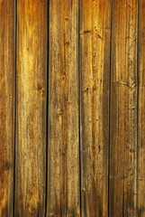 Naklejka premium wood texture